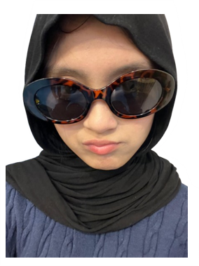 Anisa
